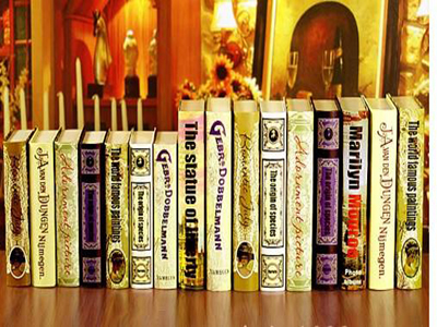 已達擺件道具書裝飾